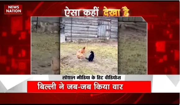 VIRAL VIDEOS : सोशल मीडिया पर VIRAL VIDEOS