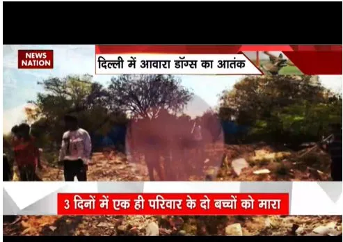 Delhi : आवारा कु्त्तों का आतंक बढ़ गया है. एक परिवार के दो बच्चों की ली जान