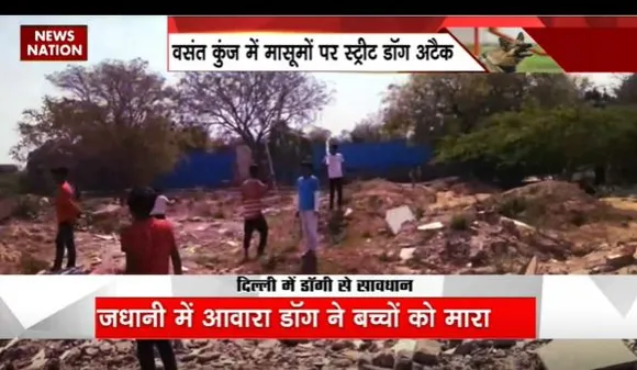 Delhi News : Delhi के वसंत कुंज में मासूमों पर स्ट्रीट डॉग का अटैक
