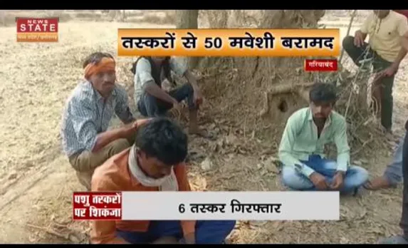 Chandigarh News : गरियाबंद में पुलिस ने 6 मवेशी तस्करों को किया गिरफ्तार
