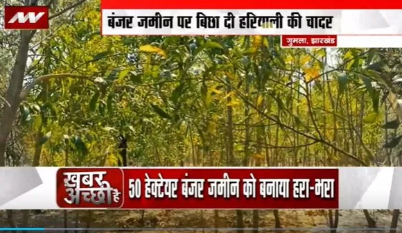 Jharkhand News : Jharkhand के गुमला में बंजर जमीन पर हरियाली की चादर बिछी