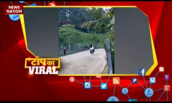 TOP KA VIRAL : सोशल मीडिया पर TOP KA VIRAL