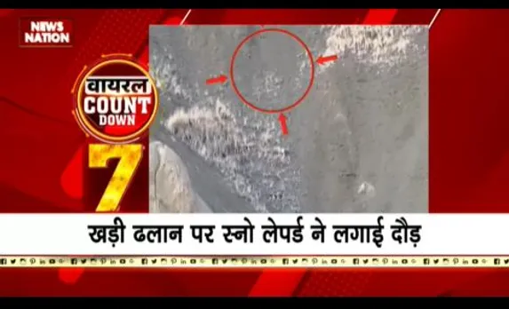 VIRAL COUNTDOWN : सोशल मीडिया पर वायरल वीडियो का COUNTDOWN