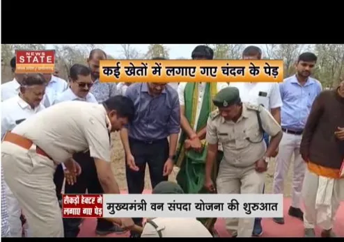 मुख्यमंत्री वन संपदा योजना की शुरुआत, खेत में चंदन के पेड़ लगाये गये
