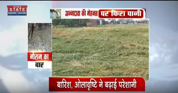 Uttarakhand News : बेमौसम बारिश से कई फसलों को पहुंचा काफी नुकसान