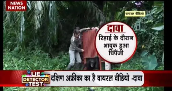 LIE DETECTOR TEST : चिम्पैंजी के भावुक होने का वायरल सच