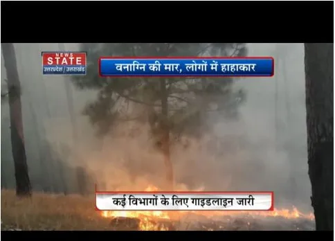 जंगल में आग की घटनाएं तेजी से बढ़ रही, कई विभागों के लिए गाइडलाइन जारी