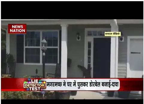 घंटी बजाकर खाना मांगते मगरमच्छ का वायरल टेस्ट, दावा बजाई घंटी
