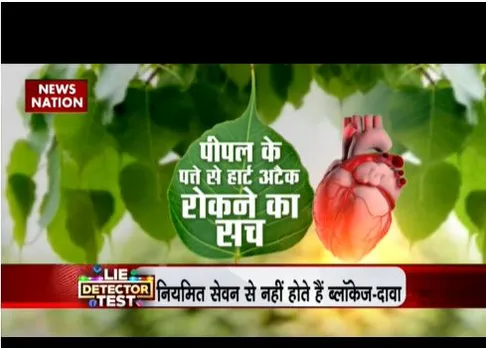 पीपल के पत्ते से हार्ट अटैक रोकने का वायरल सच, जानें यहां