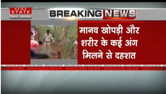 JHARKHAND NEWS : साहिबगंज के चटकी जंगज से टुकड़ो में मिले मानव अंग