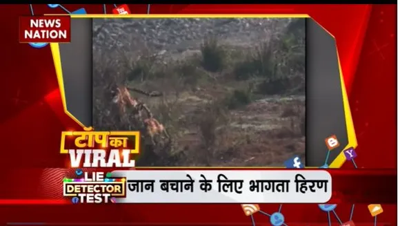 TOP KA VIRAL : सोशल मीडिया पर वायरल TOP KA VIRAL