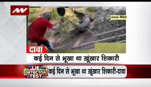 LIE DETECTOR TEST : मालिक पर अटैक करते मगरमच्छ का सच