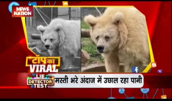 TOP KA VIRAL : सोशल मीडिया पर TOP KA VIRAL