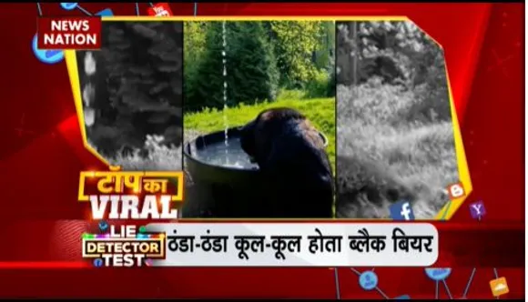 TOP KA VIRAL : सोशल मीडिया पर TOP KA VIRAL