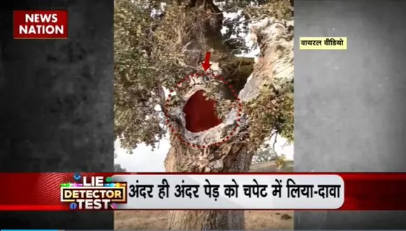 Lie Detector Test : क्या है आग उगलते हरे-भरे पेड़ का सच?