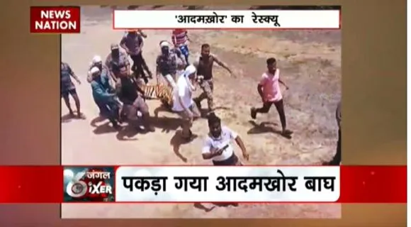 SUPER SIXER : महाराष्ट्र में आदमखोर बाघ से दहशत