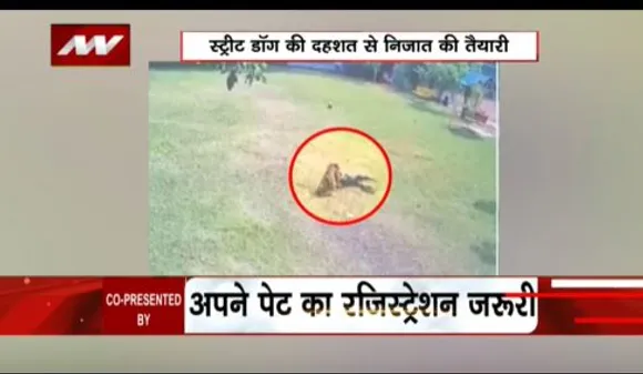 LAKH TAKE KI BAAT : नोएडा में बना देश का तीसरा डॉग पार्क, घटेगी डॉग अटैक की वारदात