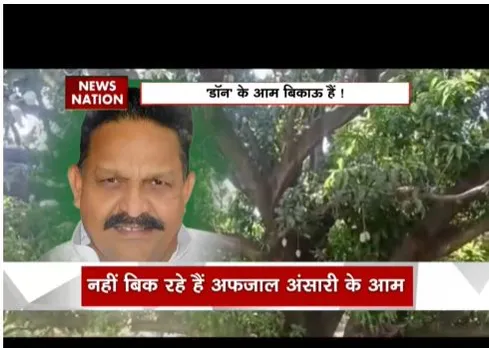 अफजाल अंसारी के आम का कोई खरीदार नहीं मिल रहा है, बगान हुआ कुर्क