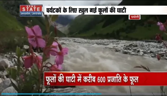 Uttarakhand News : Chamoli में खुल गई फूलों की घाटी