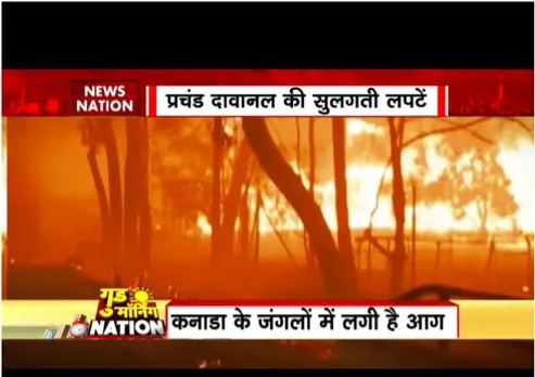 कनाडा के जंगलों में लगी आग बनी यूरोप के लिए मुसीबत, कई शहरों में फैला धुंआ