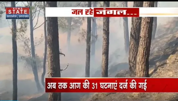 Uttarakhand News : पहाड़ पर लगातार बढ़ रही है आग की घटनाएं