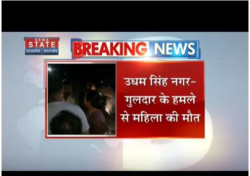 Udham Singh Nagar : गुलदार के हमले से महिला की मौत, घास काटने गई थी