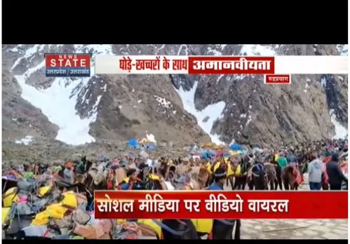 Kedarnath Dham : घोड़े- खच्चरों के साथ अमानवीयता, सोशल मीडिया पर वायरल हो रहा वीडियो