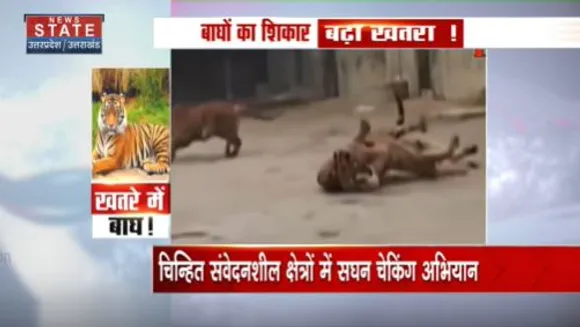Uttarakhand News : देशभर में सभी टाइगर रिजर्व को रेड अलर्ट