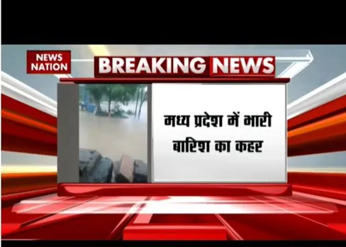 एमपी में भारी बारिश का कहर दिखा, शुजापुर में बह गया बेजुबान