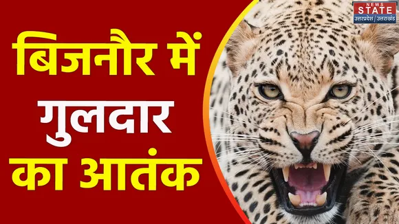 Uttar Pradesh : Bijnore में गुलदार की चहलकदमी ने बढ़ाई चिंता