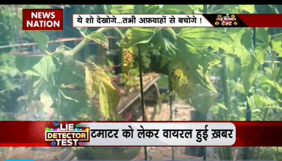 Lie Detector Test : क्या है टमाटर महंगा करने वाले वायरस का सच?