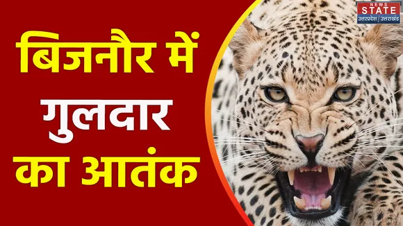 Uttar Pradesh : Bijnor ने गुलदार ने किसान की जान ली