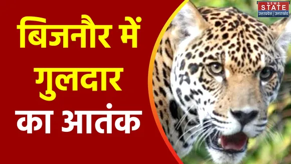 Uttar Pradesh : Bijnor में एक बार फिर गुलदार का आतंक