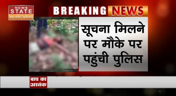 Madhya Pradesh News : Umaria में बाघ के हमले से युवक की मौत