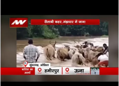 उत्तराखंड टू हिमाचल तक बारिश का सैलाब जारी, इन जगहों के लिए जारी अलर्ट