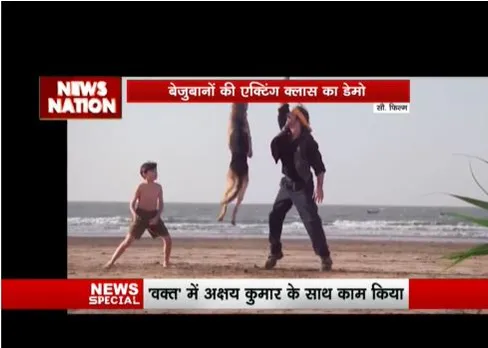 International Dogs Day: बॉलीवुड से लेकर हॉलीवुड तक डॉग ने फिल्मों पर अपनी छाप छोड़ी है