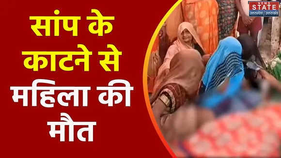Uttar Pradesh : Etawah में सांप काटने से गर्भवती महिला की मौत