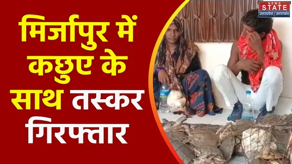 Uttar Pradesh : Mirzapur में RPF ने बड़ी संख्या मे कछुए बरामद किए