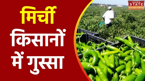 Madhya Pradesh News : Ratlam में मिर्ची किसानों में भारी रोष