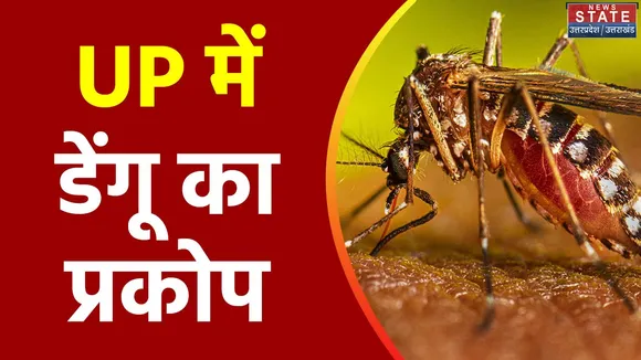 Uttar Pradesh : UP के कई शहरों में बढ़े डेंगू के मामले
