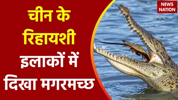 Lie Detector Test : क्या है खूंखार मगरमच्छों से डरे China का सच?