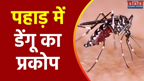 Uttarakhand News : Uttarakhand में तेजी से पैर पसार रहा डेंगू