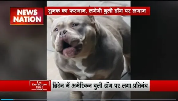 Lie Detector Test : क्या है Britain में अमेरिकी शिकारी पर बैन का सच?
