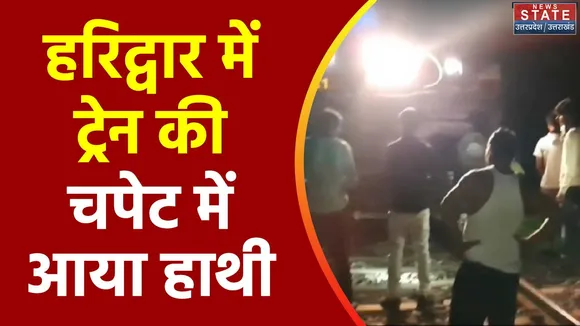 Uttarakhand News : Haridwar में ट्रेन की चपेट में आकर हाथी की मौत