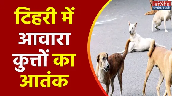 Uttarakhand News : Tehri में नहीं थम रहा आवारा कुत्तों का आतंक