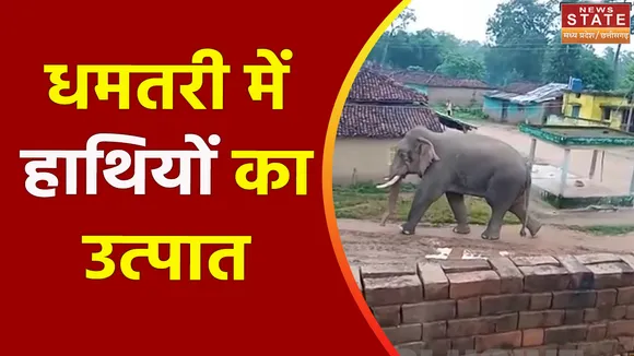 Chhattisgarh News : Dhamtari में हाथियों का आतंक जारी