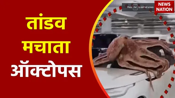 Lie Detector Test : क्या है पार्किंग में तांडव मचाते ऑक्टोपस का सच?