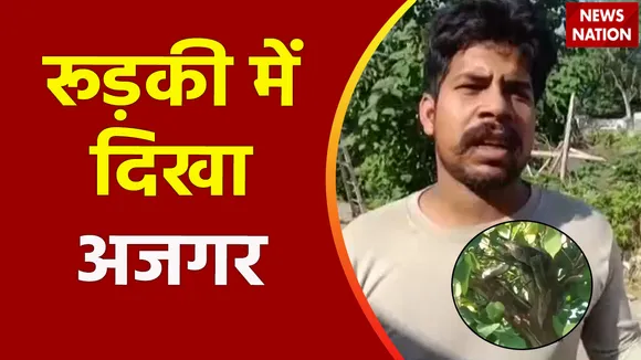 Uttarakhand News : Roorkee में अजगर दिखने से हड़कंप
