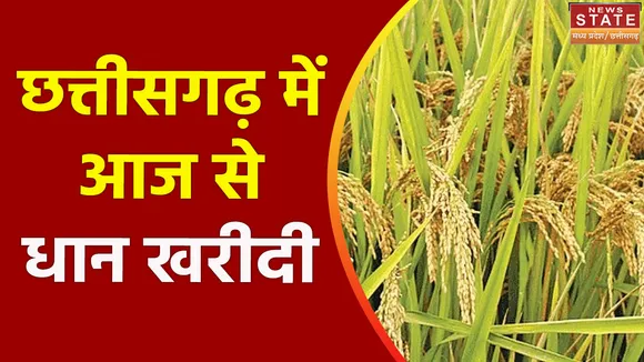 Chhattisgarh News : Chhattisgarh में आज से धान खरीदी शुरू