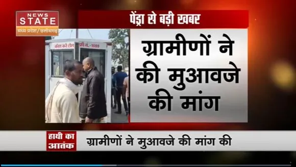 Chhattisgarh News : Pendra में दंतैल हाथी के हमले से किसान की मौत